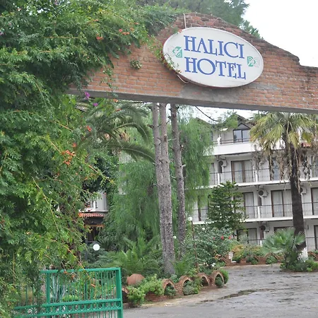 Halıcı