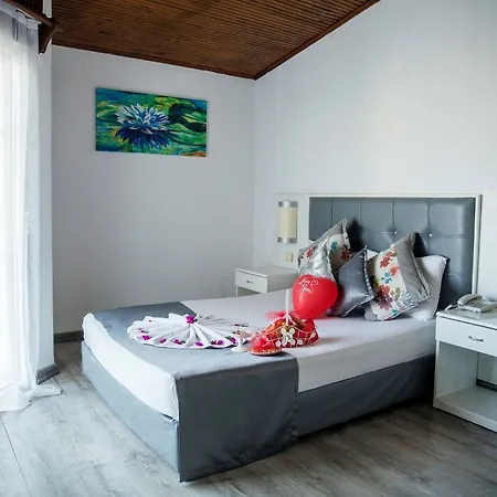 Halıcı 3*