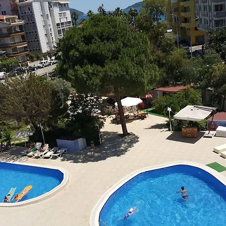 Halıcı