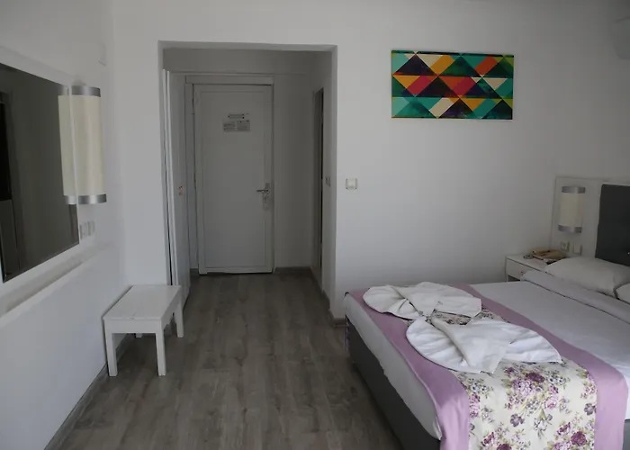 Hotel Halici